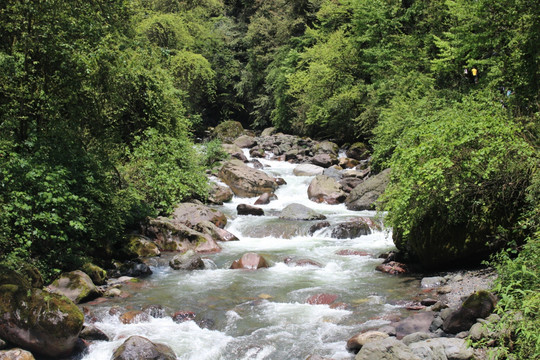 山澗溪流