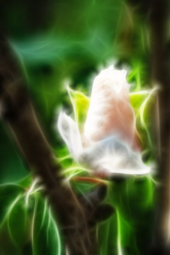 抽象裝飾畫(huà)