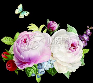 玫瑰花