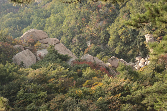 斑斓山景