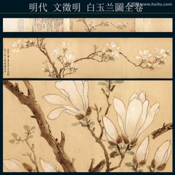 國畫花鳥