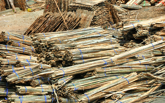 竹材堆料