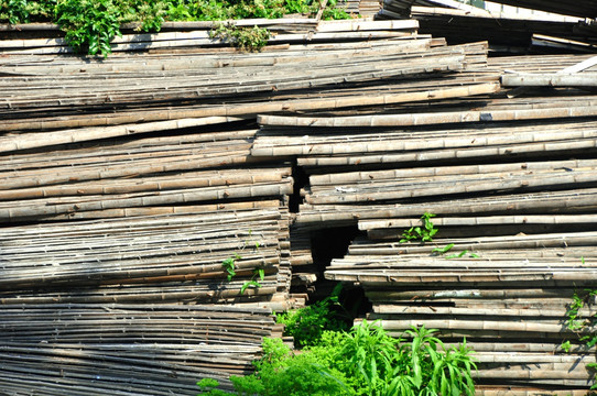 堆积的竹材