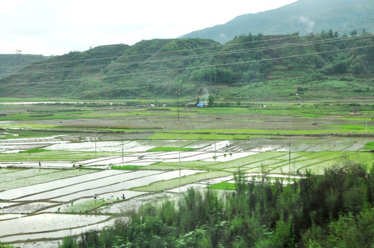 云南腾冲北海湿地