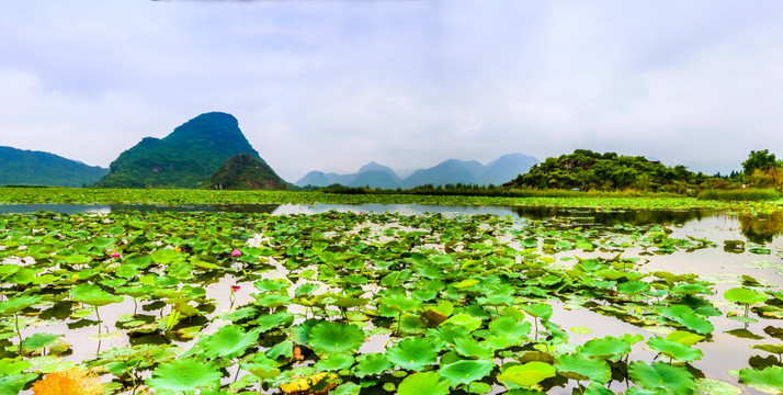 云南普者黑景区