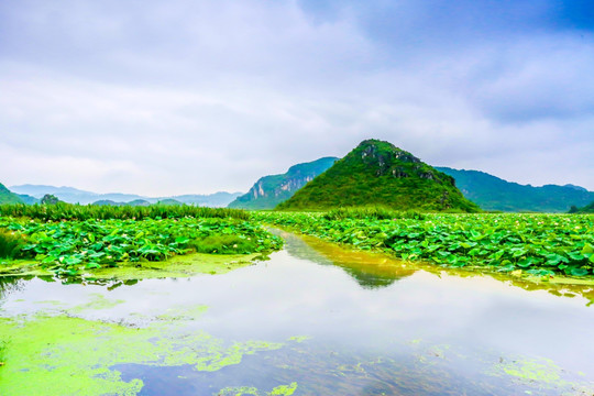 云南普者黑景区