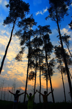 夕阳剪影人物