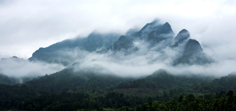 莲花山 金秀 雾 云雾 雾景