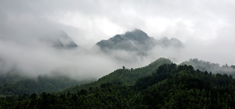 莲花山 金秀 雾 云雾 雾景