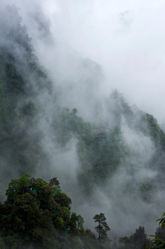 莲花山 金秀 雾 云雾 雾景