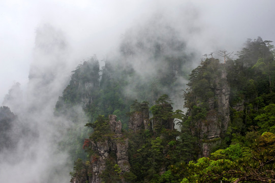 莲花山 金秀 雾 云雾 雾景