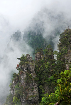 莲花山 金秀 雾 云雾 雾景