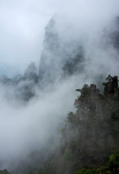 莲花山 金秀 雾 云雾 雾景