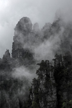 莲花山 金秀 雾 云雾 雾景