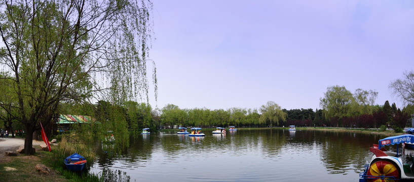 公园湖畔划船