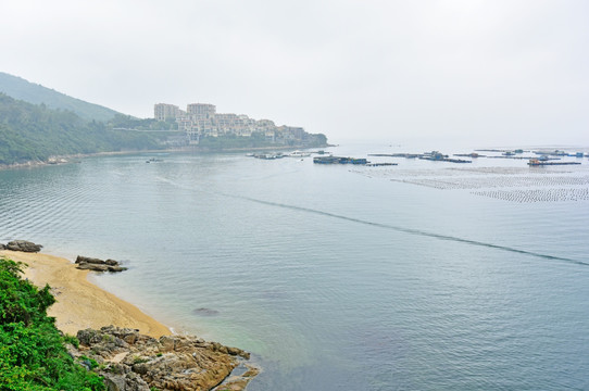 深圳南澳 油柑湾