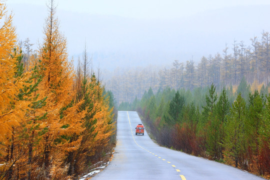 秋林山路越野车