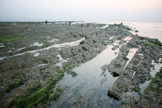 海边 礁石