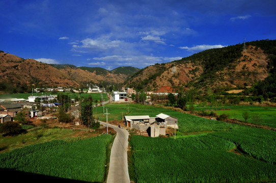 田野道路