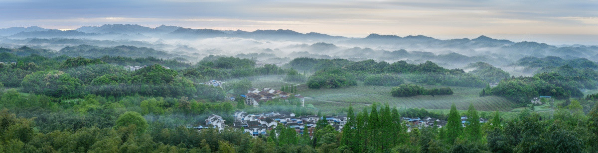 都江堰向峨乡云海全景图