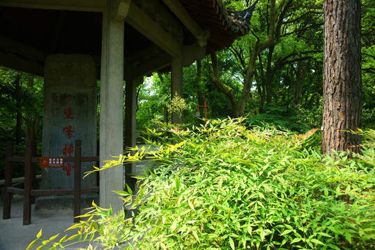 双峰插云 西湖十景之八 杭州