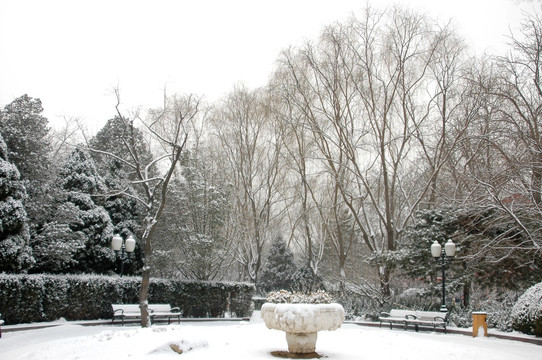 皇城根雪景