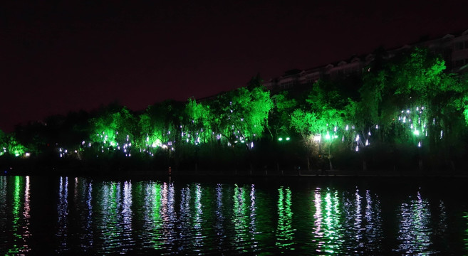 濠河夜景