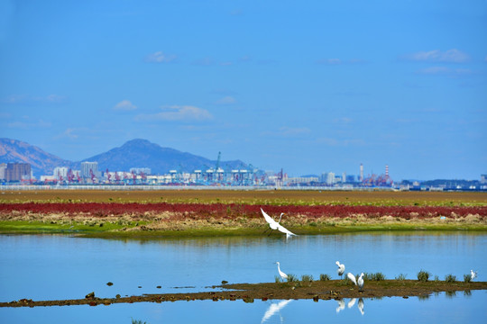 海岸