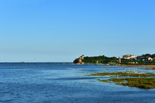 海岸