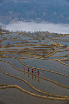 红河元阳哈尼梯田