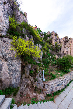 泰山登山小道