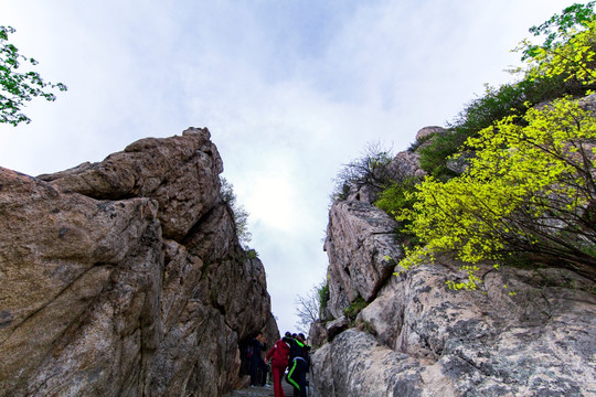 泰山登山小道