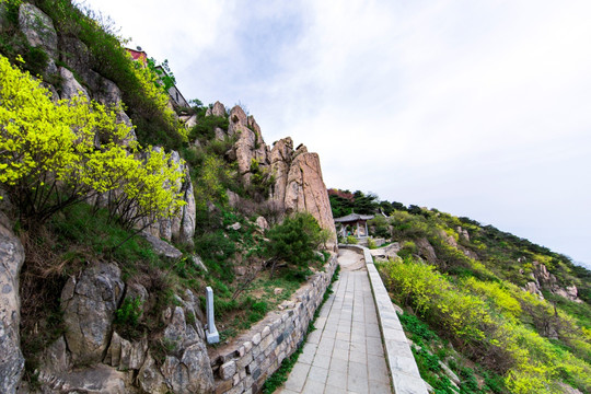 泰山登山石阶