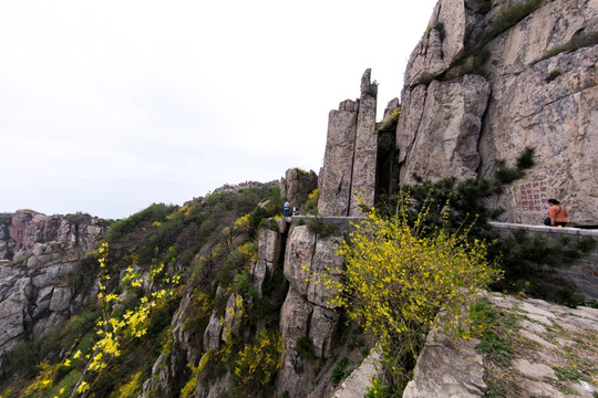 泰山风光