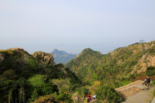 泰山自然风光