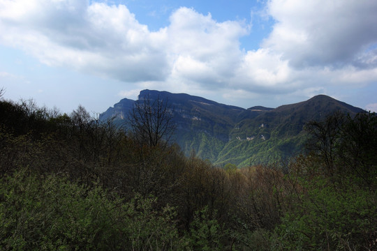 高山