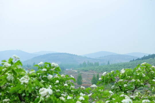 大山风景