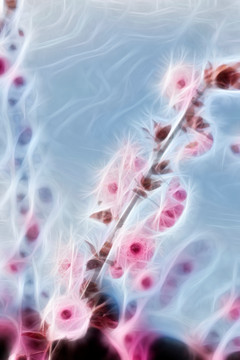 櫻花抽象畫