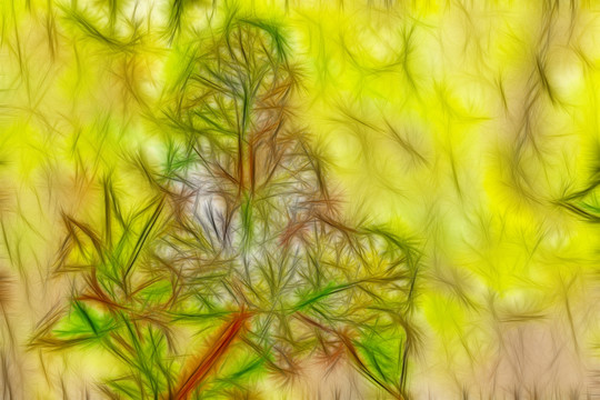 白色丁香花抽象畫