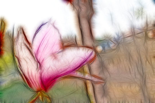 一朵紫玉蘭花