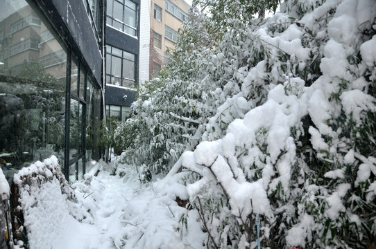 窗外雪景