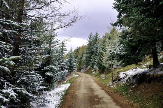 高山公路雪景风光摄影