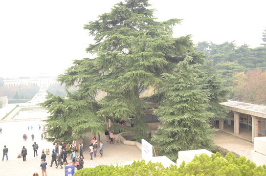 南京雨花台景区