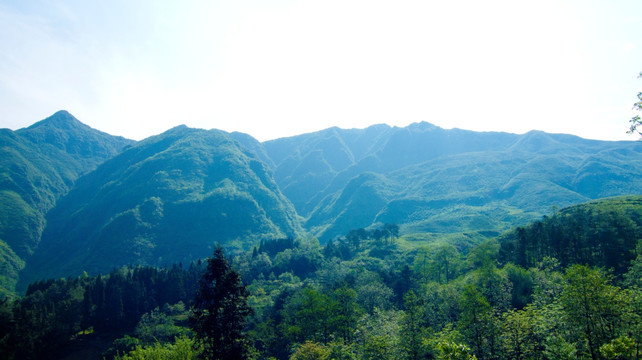 绿色山野 大山