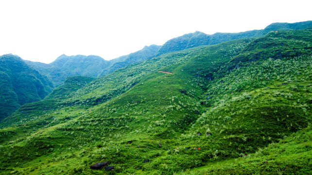 绿色 山坡  山野