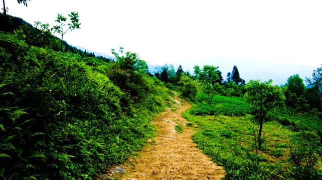 乡间小路  土路