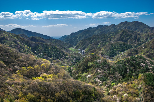 山景