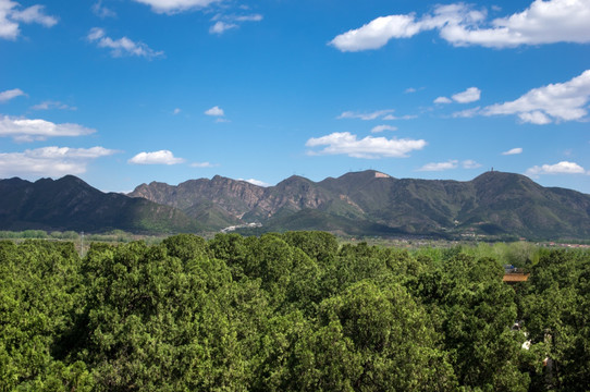 山景