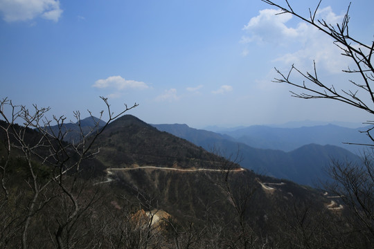 太平山风光