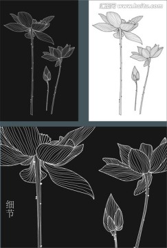 手绘荷花装饰画